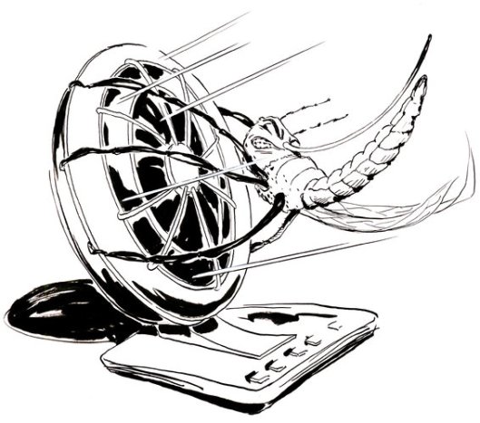 A Low-Tech Mosquito Deterrent - NYTimes.com