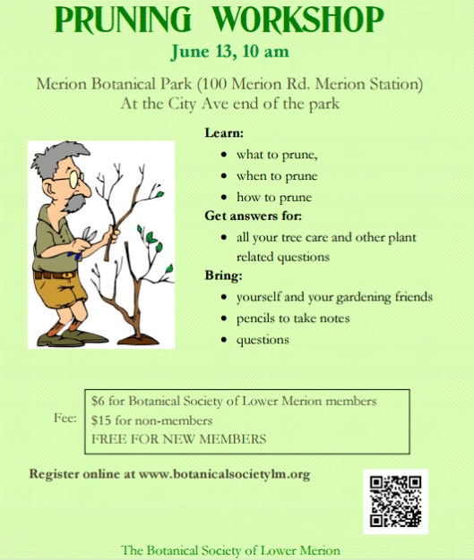 Pruning Workshop