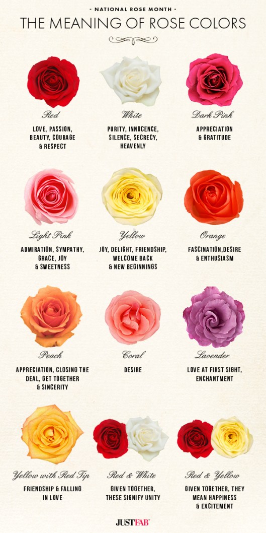 rose colors